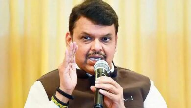 Fadnavis requests ECI to look into complaints of slow voting in Mumbai