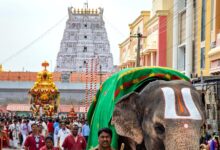 Behind Making Of Tirupati Laddoos: How Ingredients Are Procured