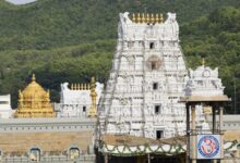 Tirupati Laddoos Row Explained: Who Said What, Where Ghee Came From