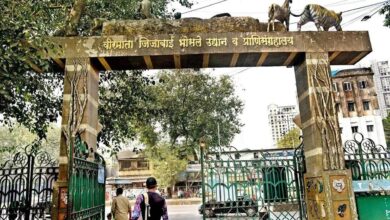 Mumbai: Byculla zoo to remain open to public on October 2, says BMC