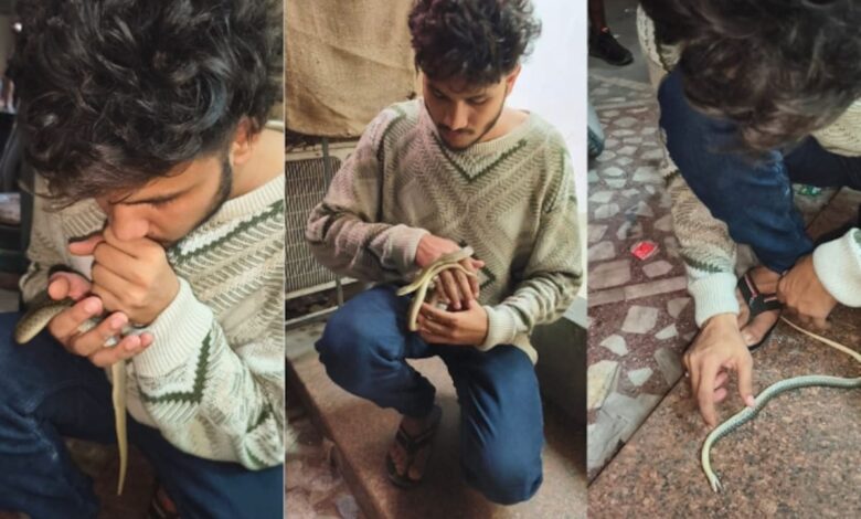 Gujarat Man Saves Snake's Life By Performing CPR