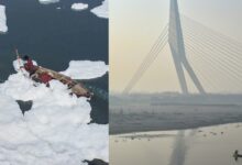 Smog Engulfs Delhi-NCR, Toxic Foam Blankets Yamuna River As Winter Approaches