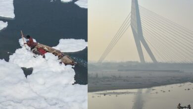 Smog Engulfs Delhi-NCR, Toxic Foam Blankets Yamuna River As Winter Approaches