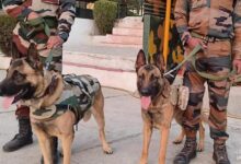 Haryana Police Expands Dog Squad From 36 To 63 To Help Sniff Out Crime