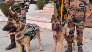 Haryana Police Expands Dog Squad From 36 To 63 To Help Sniff Out Crime