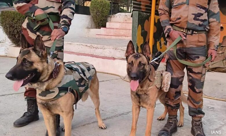 Haryana Police Expands Dog Squad From 36 To 63 To Help Sniff Out Crime