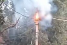 Kanpur Lineman Dies After Power Unexpectedly Back On Line, Cops File Case