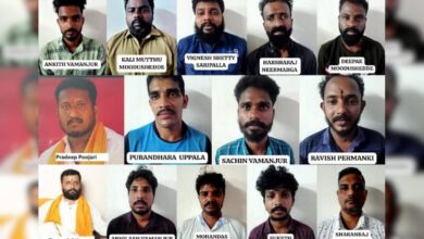 14 Arrested For Allegedly Vandalising Karnataka Massage Parlour