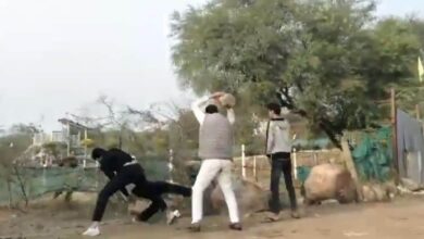 Clash Over Land Dispute In Noida, Man Lifts Huge Rock To Attack