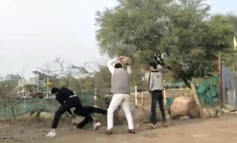 Clash Over Land Dispute In Noida, Man Lifts Huge Rock To Attack