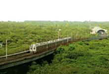 Delhi Metro To Begin Services From 3:00 AM On Republic Day