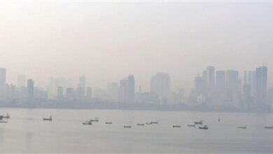 Mumbai weather updates: AQI improves as city sees clear skies and mild temp