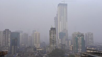 Mumbai weather updates: Air quality remains moderate as temperature drops