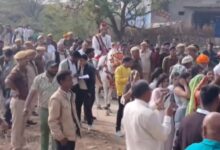 With 200 Cops As Security, Dalit Groom Rides Horse To Bride's House In Rajasthan