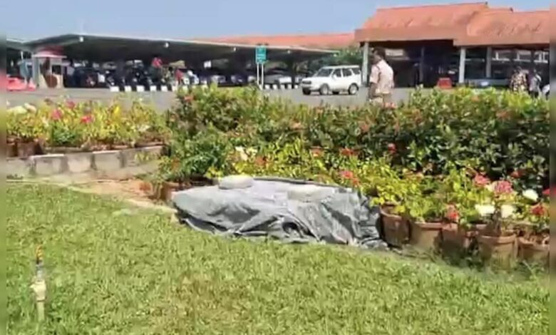 3-Year-Old Boy Dies After Falling Into Canal At Cochin Airport