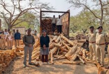 Forest department seizes 15 tonnes of smuggled Khair wood near Charoti