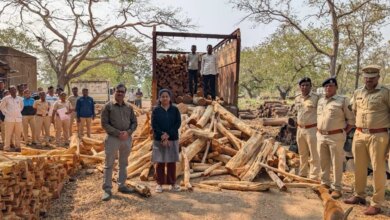 Forest department seizes 15 tonnes of smuggled Khair wood near Charoti