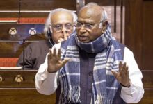 M Kharge's Outburst In Rajya Sabha As BJP MP Interrupts Him