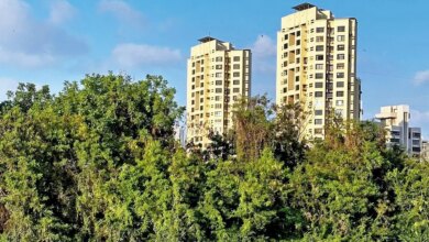 Mumbai: Lokhandwala lake choked by invasive plant, still awaiting wetland status