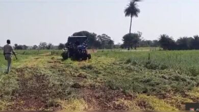 Vidisha Farmer Collapses As Officials Destroy His Standing Crop